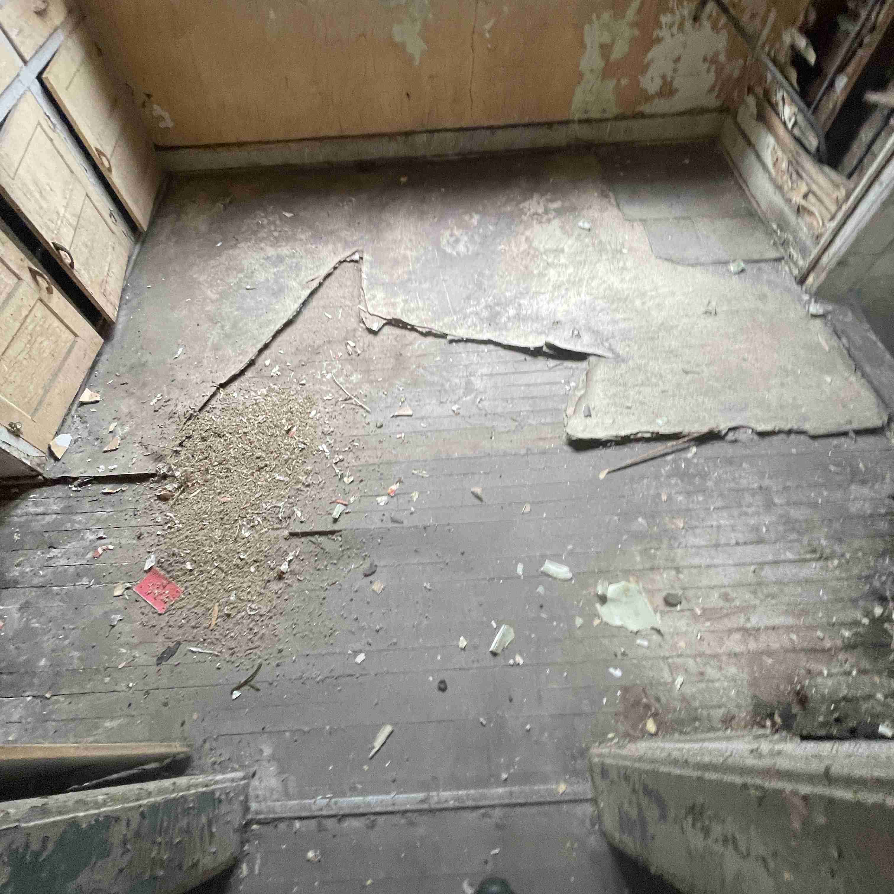 4039 Tuxedo (61).jpg